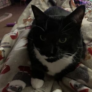 Meet your Posher, Sandy